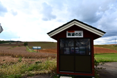 「眺望の丘」