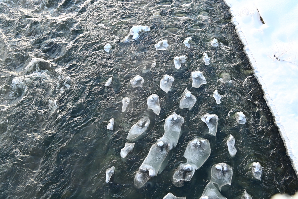 「川の中で！？」