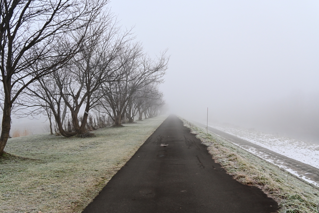 「霜と濃霧の朝」