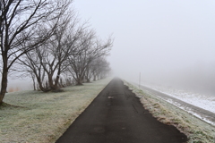 「霜と濃霧の朝」
