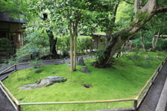 明月院 #3