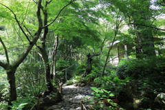一条恵観山荘 #18