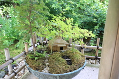 一条恵観山荘 #15