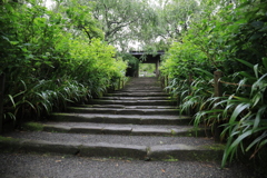 明月院 #2