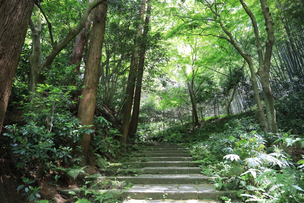 瑞泉寺 #3