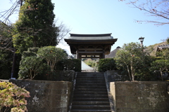 海蔵寺 #2
