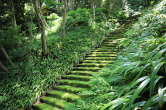 妙法寺 #4