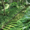 妙法寺 #4