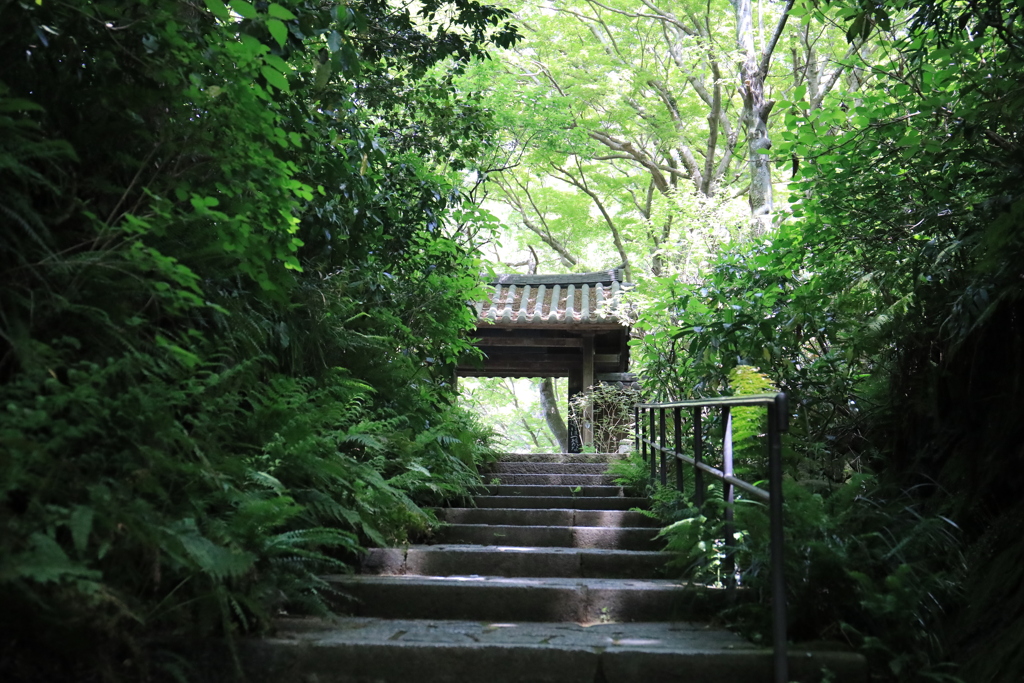 瑞泉寺 #4