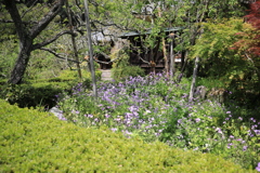 瑞泉寺 #5