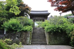 海蔵寺 #4