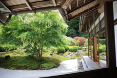 長寿寺 #2