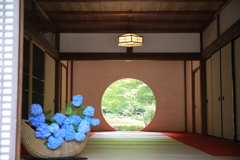 明月院 #7