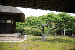 長寿寺 #5