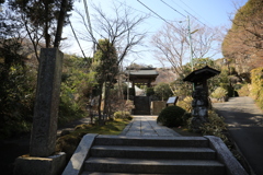 海蔵寺 #1