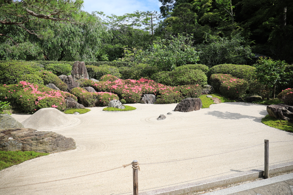 明月院 #4