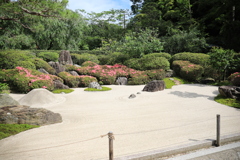 明月院 #4