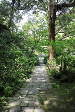 瑞泉寺 #2