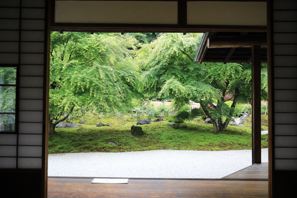 長寿寺 #4