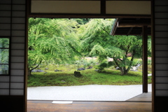 長寿寺 #4
