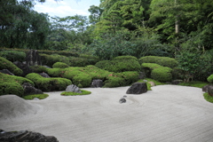 明月院 #15