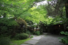 覚園寺 #2
