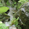 一条恵観山荘 #22