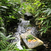 一条恵観山荘 #19
