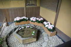 一条恵観山荘 #7