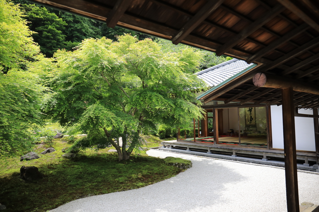 長寿寺 #3