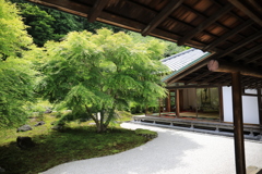 長寿寺 #3