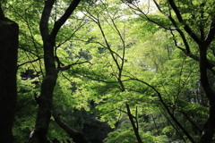 一条恵観山荘 #3