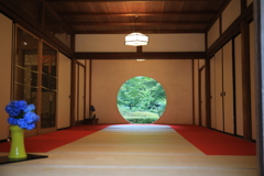 明月院 #12