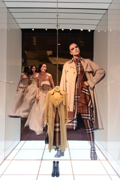 ディスプレイ台北101