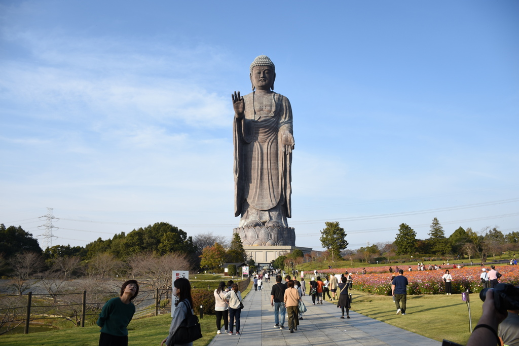 牛久大仏