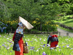 横須賀菖蒲園　早乙女姿