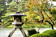 雨の兼六園