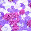 水に浮かぶ花