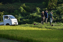大山千枚田