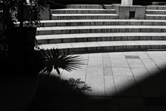 ストリート