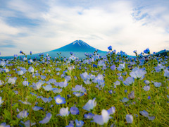 揺らめく青の向こうに - Kawaguchiko