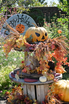 寒くなった秋のガーデンで。