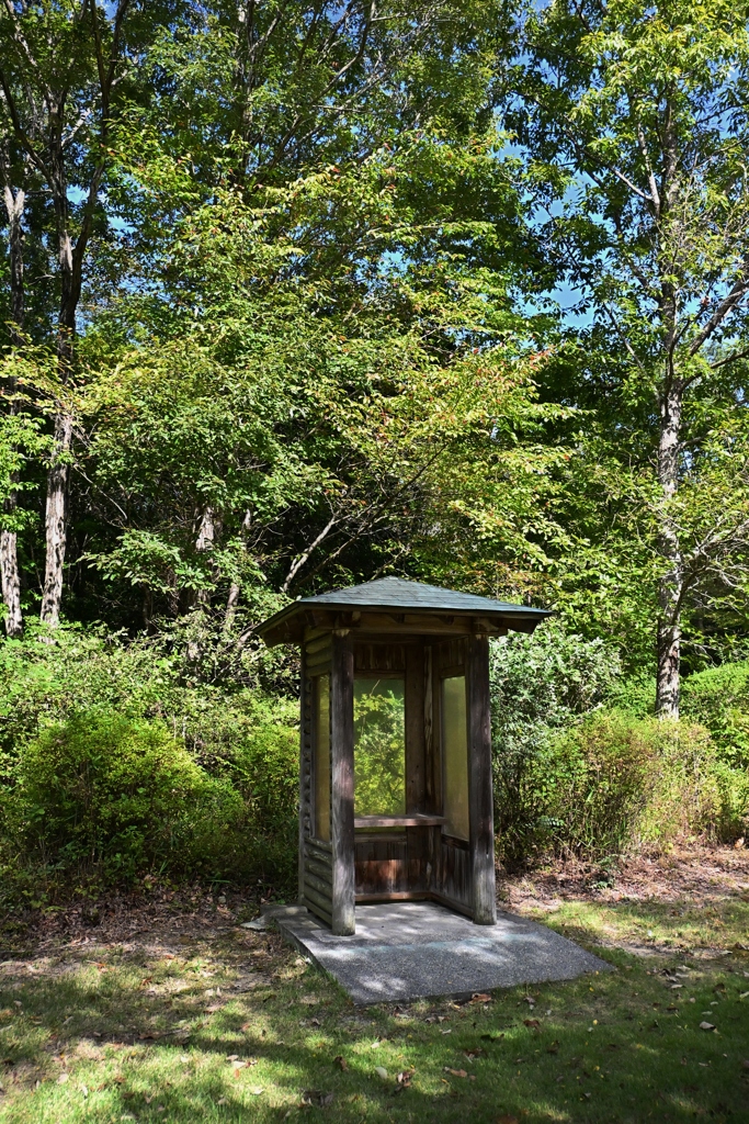 初秋の公園で