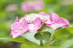 古き良き万博公園にて