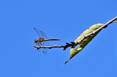 初秋の公園で・・