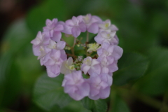 古き良き万博公園