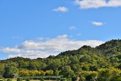 初秋の公園で