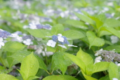 古き良き万博公園にて
