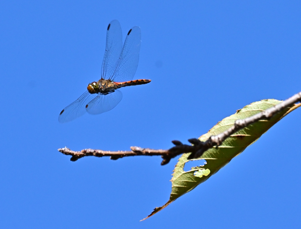 初秋の公園で・・