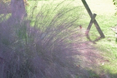 寒くなった秋のガーデンで。